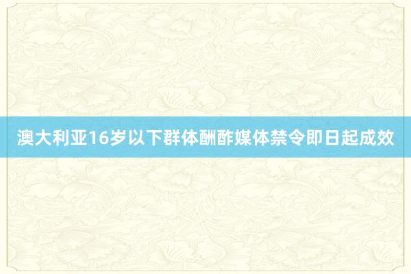 澳大利亚16岁以下群体酬酢媒体禁令即日起成效